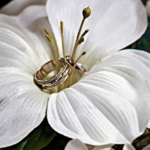 April Duncan Photo 11