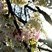 Sean Bloom Photo 23