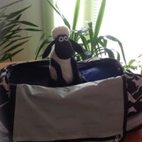 Christopher Helm Photo 18