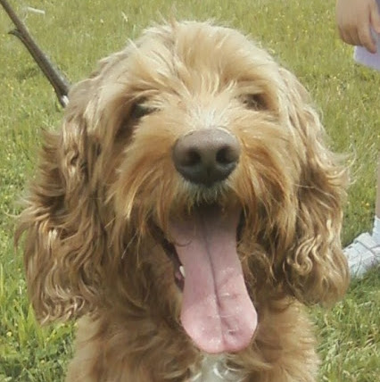 Charlie Hacker Photo 8