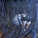 Francis Bacon Photo 32