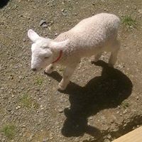 Peter Busch Photo 32 Peter Busch Photo 32