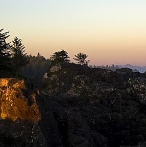 Sharon Warren Photo 29