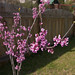 Bud Nicholas Photo 9