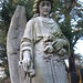 Angel Goodman Photo 34
