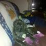 Angie Walters Photo 12