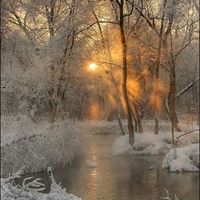 Cindy Lambert Photo 11