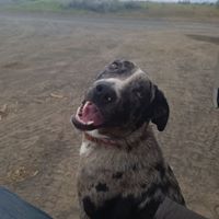 Cory Staples Photo 11