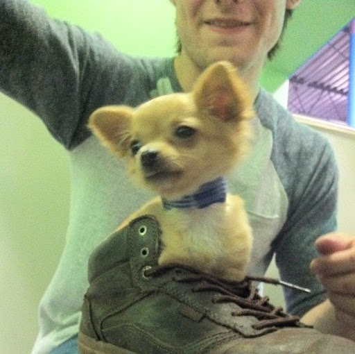 Jackson Reynolds Photo 37