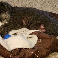 Cindy Mccoy Photo 21