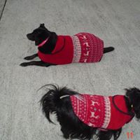 Vicki Guthrie Photo 15