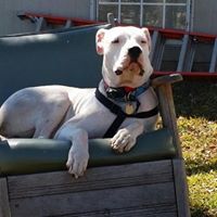 Christopher Mclain Photo 14