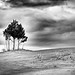 Anthony Reed Photo 35