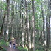 Kathy Spencer Photo 26