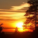 Susan Michaelis Photo 16 Susan Michaelis Photo 16