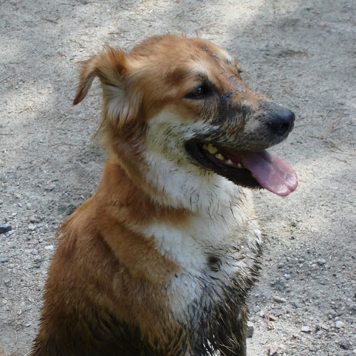 Elizabeth Jarvis Photo 30 Elizabeth Jarvis Photo 30