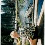 Katherine Zimmer Photo 9