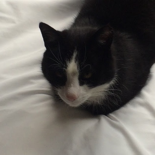 Kathryn Mooney Photo 15