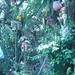Marcia Bower Photo 12