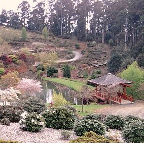 Janice Barton Photo 8