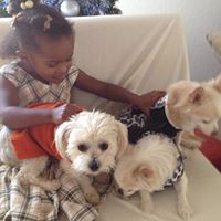 Sandra Fair Photo 34