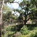 Henry Keller Photo 10