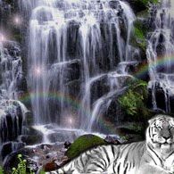 Stephen Spain Photo 16