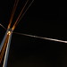 David Hoppe Photo 32