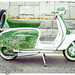 Cindy Green Photo 39