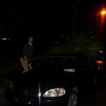 Michael Fogarty Photo 31 Michael Fogarty Photo 31