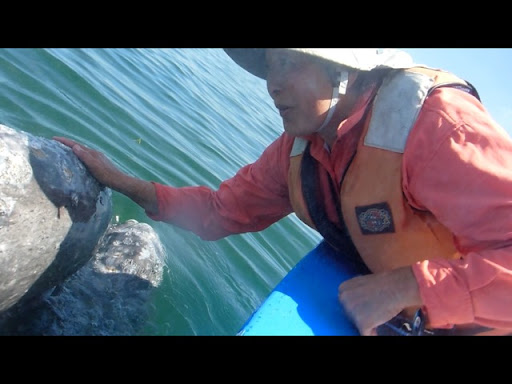 Joyce Osborn Photo 12