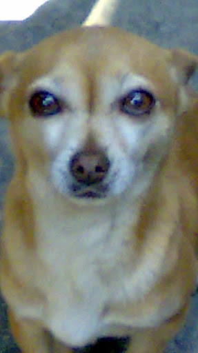 Janeth Rocha Photo 3