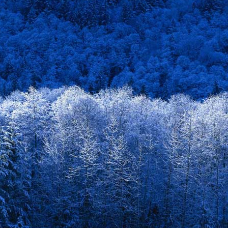 Karen Andrews Photo 13