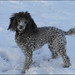 Aimee Barney Photo 11