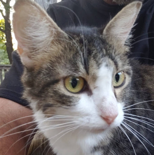 Roland Hall Photo 38