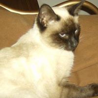 Kenneth Brock Photo 15