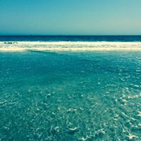 Mike Ferraro Photo 16