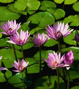 Kathryn Brown Photo 9