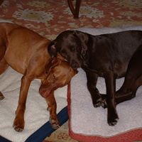 Faith Monroe Photo 17