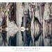 Cliff Adams Photo 15