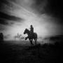 Bruce Bradley Photo 23