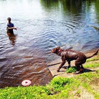 Chad Fuller Photo 18