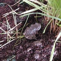 Annie Mcdaniel Photo 24