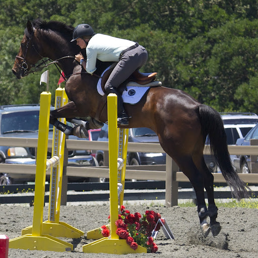 Christina Gray Photo 23
