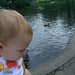 Carolyn Swan Photo 13