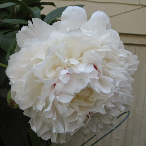 Sandy Mcbride Photo 2