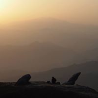 Philipp Hauser Photo 2