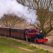 Timothy Buxton Photo 17