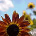 Christina Huber Photo 35