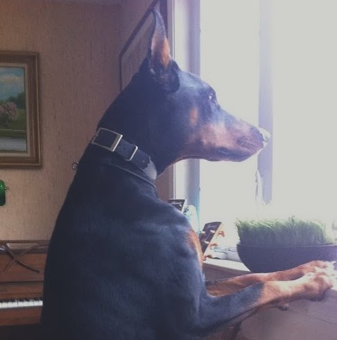 Lisa Swanson Photo 17